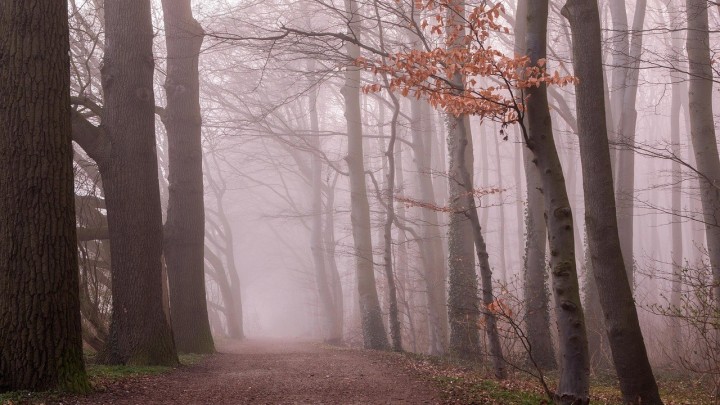 Topliji dani uskoro su iza nas: Evo što se očekuje do kraja godine