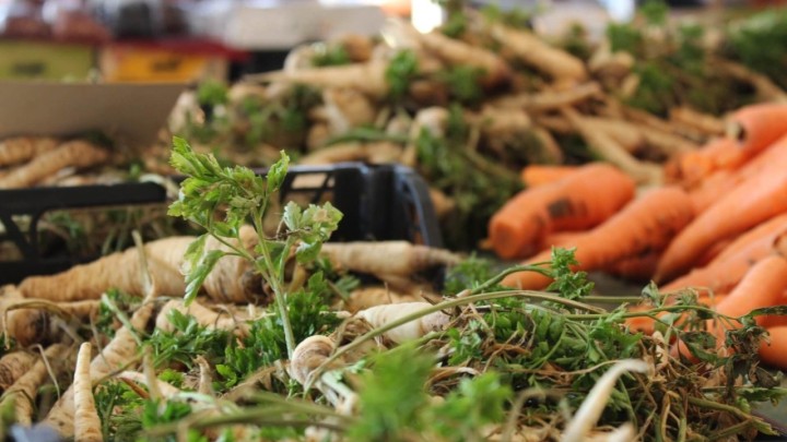 Stigla dobra vijest: Jarunska ekološka tržnica radit će tijekom jeseni i zime