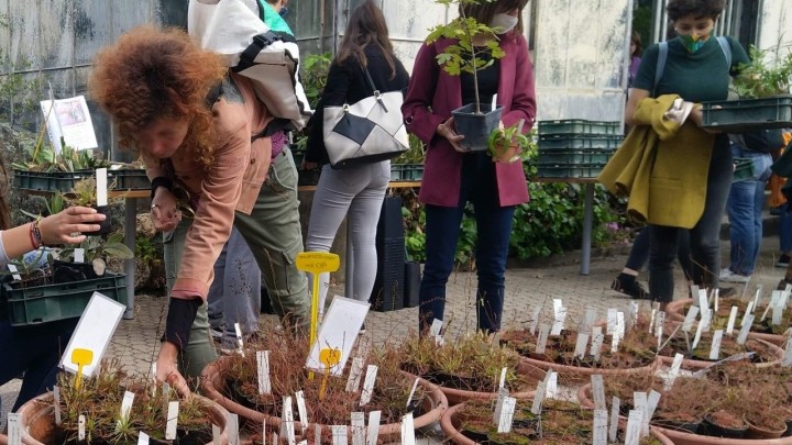 U subotu nova rasprodaja biljaka u Botaničkom vrtu: Sve će biti po akcijskim cijenama