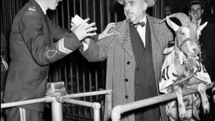 [6.10.] Izbacili mu kozu sa stadiona: Početak priče o najčudnijem sportskom prokletstvu