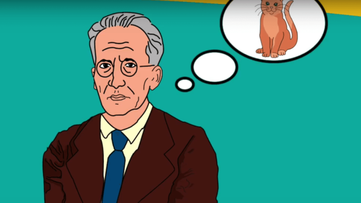 [12.8.] Rođen tip koji je uz pomoć mačke i kutije objasnio kvantnu fiziku tako da je i dijete može razumjeti