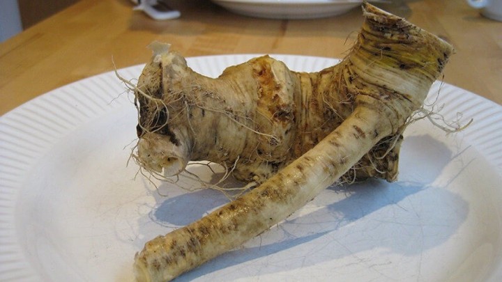 Ludbreški hren je još jedan hrvatski proizvod zaštićenog naziva u EU