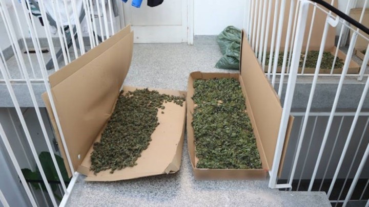 Dvojica umirovljenika s Trešnjevke zarađivala prodajom droge: Dilali travu i kokain