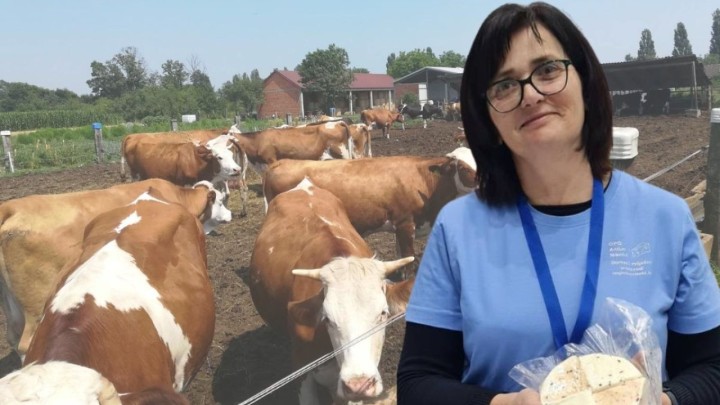 Obitelj Nikolić proizvodi mlijeko više od 50 godina: 'Otkupna cijena je mala, ali nije sve u novcu'