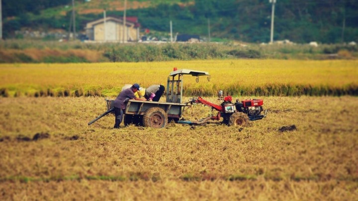 Strašna nesreća u blizini Zadra: Na umirovljenicu se prevrnula prikolica i usmrtila ju