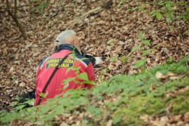 Planirate na planinarenje? HGSS nam je otkrio na što sve trebate paziti kako biste sigurno došli na odredište