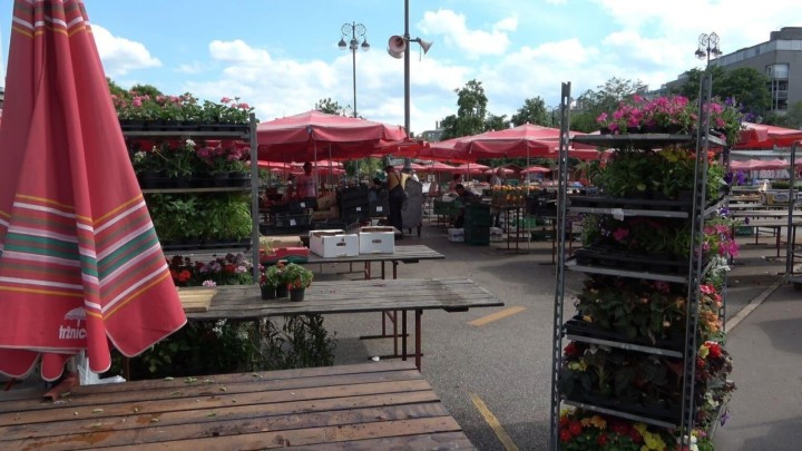 Cijene trešanja su i dalje visoke, evo koliko koštaju na tržnici u Zagrebu