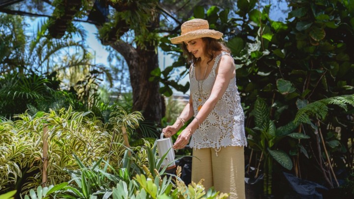 Znate li kako da vam biljke brže rastu? Jedno od rješenja je prirodno gnojivo - pivo