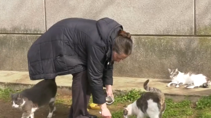 Umirovljenica dobila bizarnu kaznu, a ako je plati imat će samo 40 eura za život