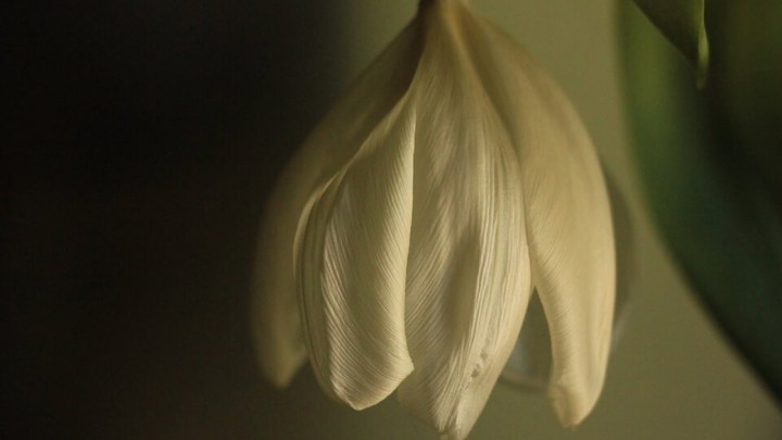 Umirovljenik (91) bez rodbine sam umirao u bolnici, susjeda bijesna jer ju nisu pozvali