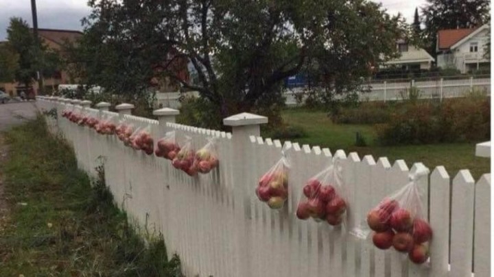 Starci tužni jer nema više djece koja bi ukrala pokoju zrelu jabuku iz dvorišta