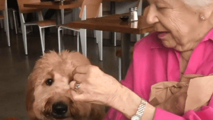 [Instabake] Između tri najpopularnije bake na Instagramu puno je razlika, ali sve imaju tisuće lajkova