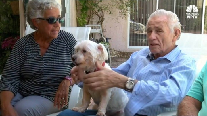 Pametni pas zvao susjede u pomoć usred noći nakon što mu se vlasnik srušio: "Spasio mi je život!"