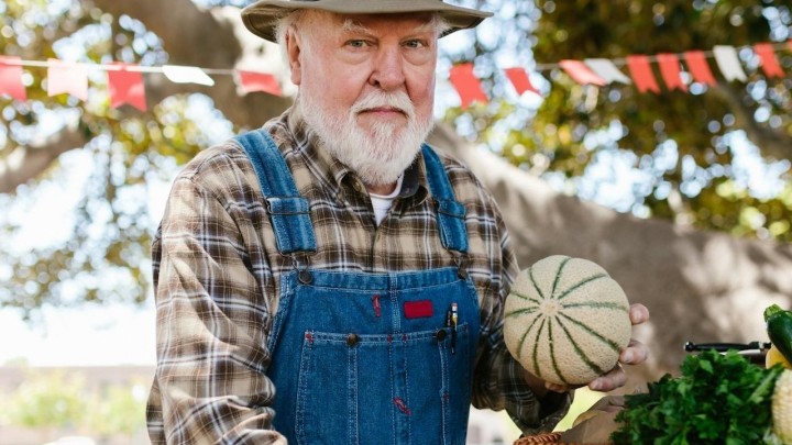 Oko 38.000 umirovljenika radilo je u srpnju: Najveći skok u dvije djelatnosti