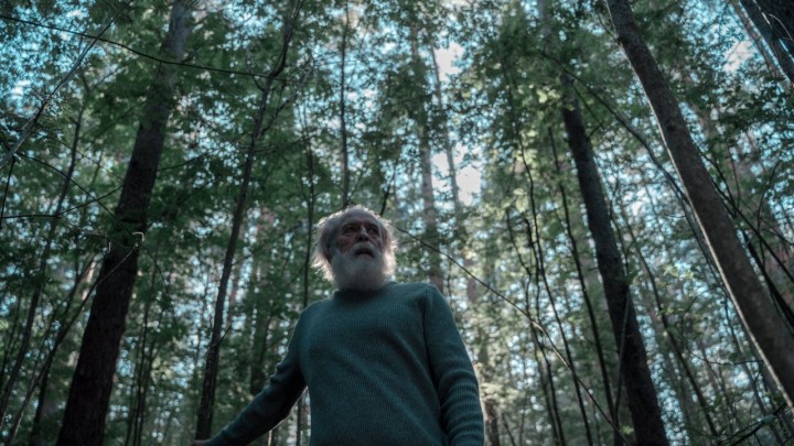 Hrvatska gorska služba spašavanja ima poseban apel: 'Berači gljiva, pazite na sigurnost'