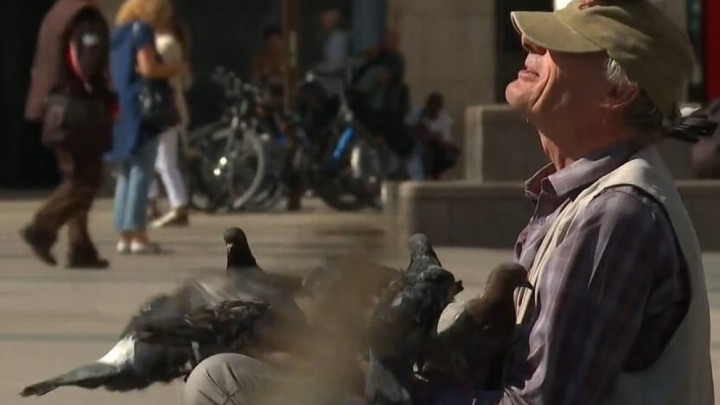 Stjepan (72) svaki dan hrani golubove: 'Redari su mi zaprijetili kaznom od 500 eura'