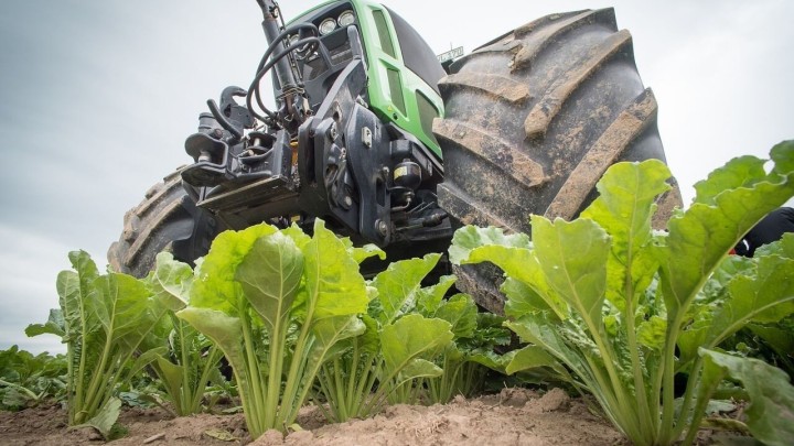 Prijeti nam nestašica osnovne namirnice: 'To bi mogao biti kraj njezine proizvodnje'