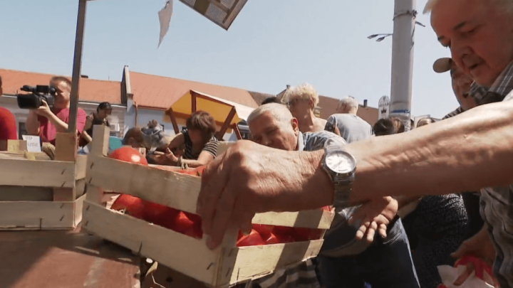 Podjela povrća u Virovitici privukla građane, a povrtlari izrazili svoje nezadovoljstvo