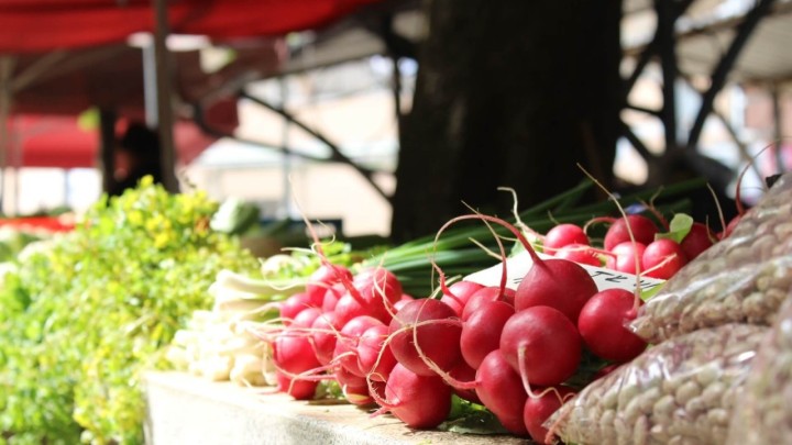 Obišli smo vanjsku tržnicu u Puli: Evo kakve su ondje cijene