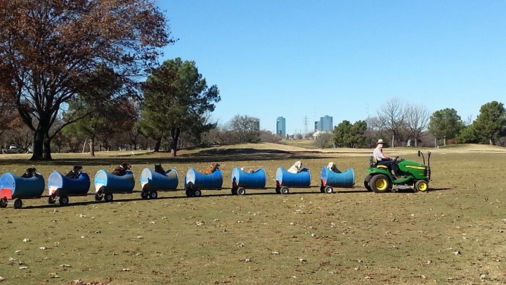 Ovo morate vidjeti: Umirovljenik vozi pse u posebnom prijevoznom sredstvu, a svi su oduševljeni