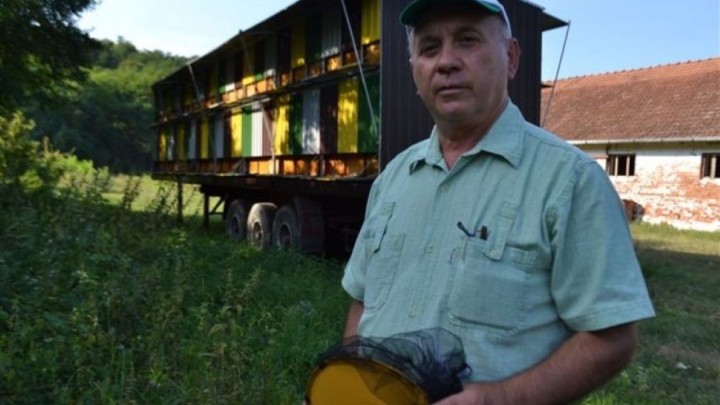 Švrake se pčelarstvom bave već generacijama: 'Najviše prodajemo bagremov med'