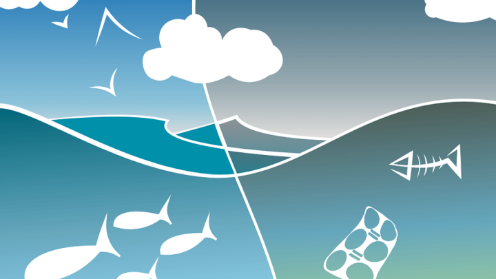 [8.6.] Danas je Svjetski dan oceana: Ovih 7 činjenica o tome koliko ga zagađujemo će vas šokirati