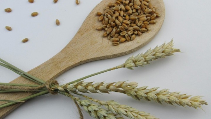 Ova žitarica se posebno preporučuje starijima: Lako je probavljiva i nutritivno bogata