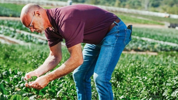 Ne rade, a nisu na birou: Evo tko su nezaposleni građani koji ne traže posao