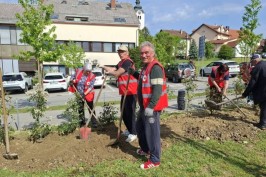 Umirovljenici u Vrbovcu u akciji na suncu: Pomogli Crvenom križu urediti vrt