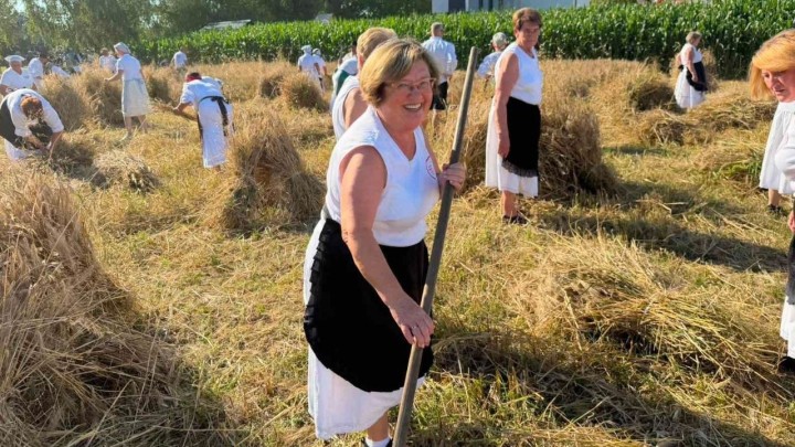 Umirovljenici na proslavi žetve: 'Ovakve prizore više nije moguće vidjeti'