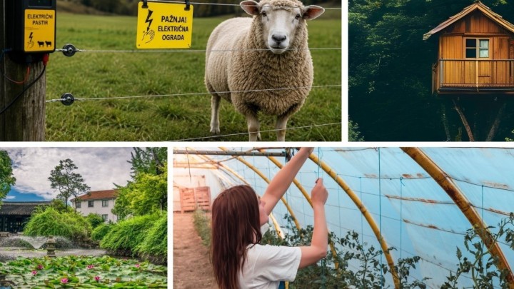 Što se Hrvatskoj može graditi bez građevinske dozvole? Kućica na drvetu, ribnjak, električni pastir…