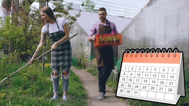 Koliko učenici i studenti mogu zaraditi u kolovozu? Zbog dva datuma trebaju pripaziti