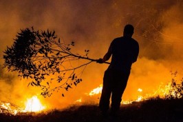Što napraviti u slučaju požara: 'Dim je često opasniji od samog plamena'