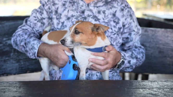 Ovaj 'učenik' ne mora u školu po kiši, a dobio je i 'vilu s bazenom': Priredili su mu životni zaokret