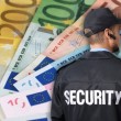 HZMO plaća i zaštitare: Za 'čuvanje' u pet gradova izdvaja 130.000 eura