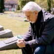 Među preminulima 86 posto starijih od 65 godina: Dva su glavna uzročnika smrtnosti