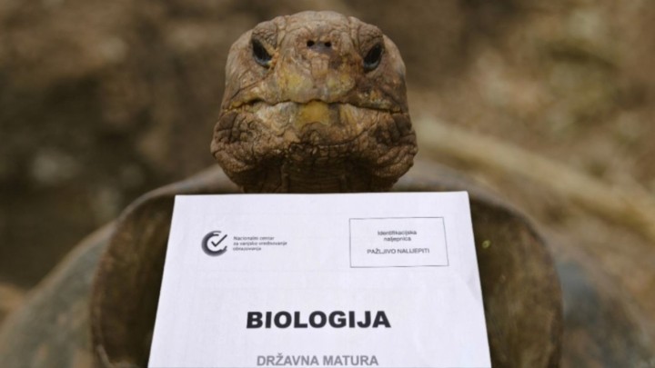 Objavljeno kako će izgledati ispit Biologije na maturi 2027.: Obratite pažnju na jedno područje