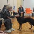 Druženje umirovljenika i pasa iz skloništa: 'Darovima su razveselili njuškice'