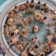 Umirovljenici isprobali nove bazene: Evo koliko će ih koštati tri sata kupanja